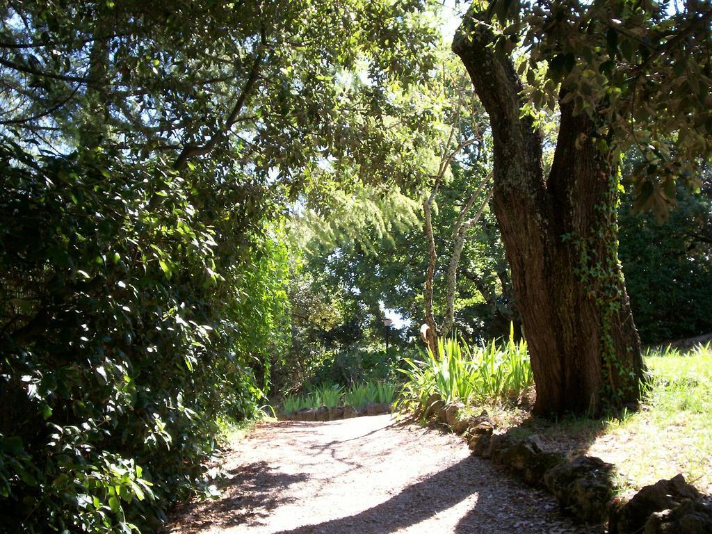 Séjour à la campagne Podere Il Caggio