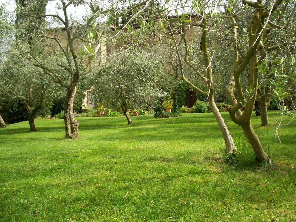 Podere Il Caggio San Gimignano