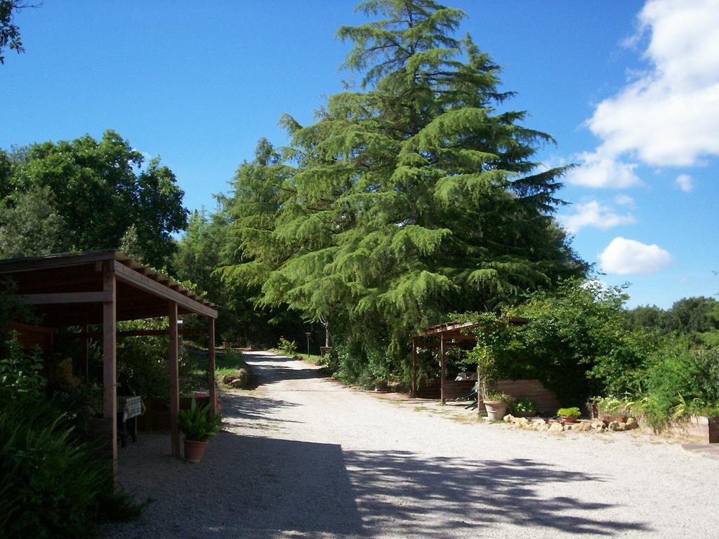 Podere Il Caggio